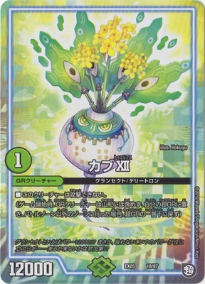 DMEX-05/18/����XII