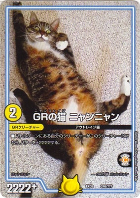 DMEX-08/246/GR��ǭ �˥��˥��