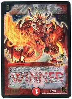 P7/Y9/�ܥ륷��å������¡��ɥ饴��