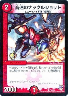 P03/Y14/��®�Υʥå��륷��å�