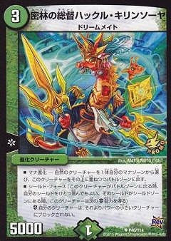 P40/Y14/̩�Ӥ����ĥϥå��롦����󥽡���