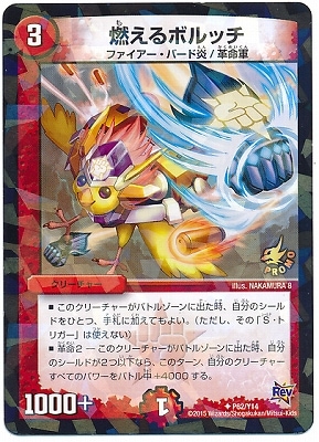 P62/Y14/ǳ����ܥ�å�