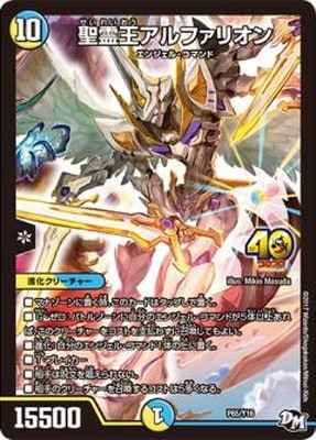 P65/Y16 �������ե��ꥪ��