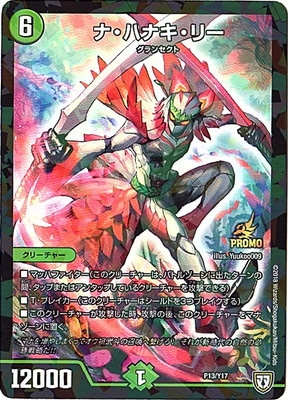P13/Y17 �ʡ��ϥʥ����꡼