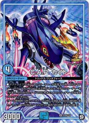 P24/Y18 C.A.P. ������