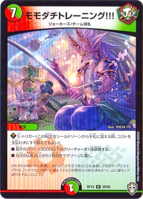 15/DMRP-15/29/R/ȥ졼˥!!!