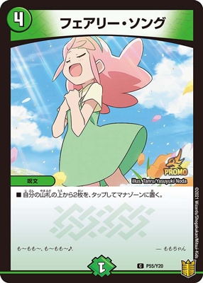 P55/Y20 �ե����꡼������