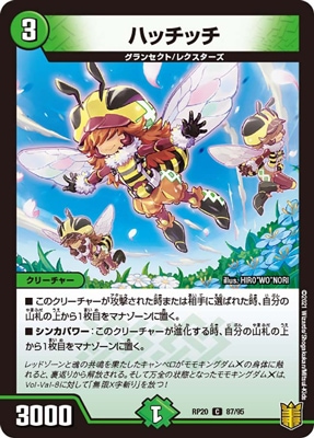 P69/Y20 �ϥå��å�