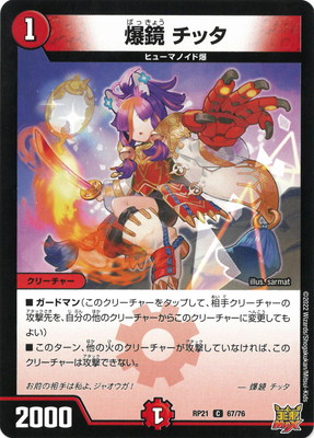 ��21��/DMRP-21/67/C/���� ���å�