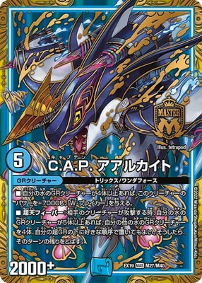 DMEX-19/M27/MAS/C.A.P. 륫