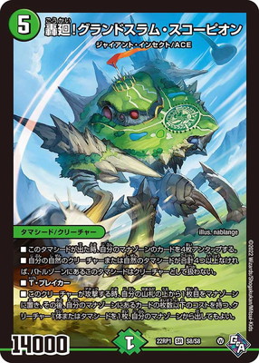 DM22-RP1/S8/SR/���!�����ɥ���ࡦ�������ԥ���