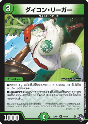 DM22-RP1/48/U/󡦥꡼