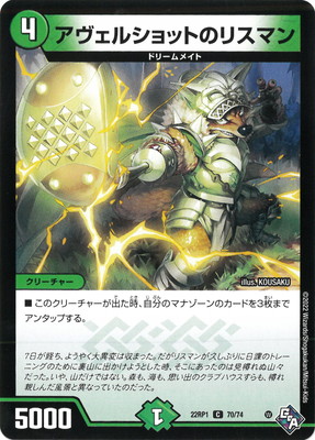 DM22-RP1/70/C/�������륷��åȤΥꥹ�ޥ�