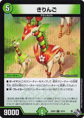 DM22-RP2/70/C/�����