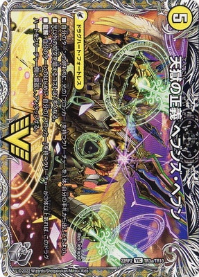 DM22-RP2/TR3/VIC/ŷ�������� �إ֥󥺡��إ֥�ŷ̿���� �ͥС��饹�ȡڶ�ȥ쥸�㡼��