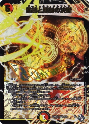 DM22-RP2X/8X/VR/Ǯ���Ⱦȼͤη��ǡڥ��ɥ�ʥ��Xver��