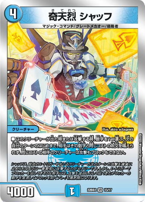 DM22-BD2/13/VR/ŷ å