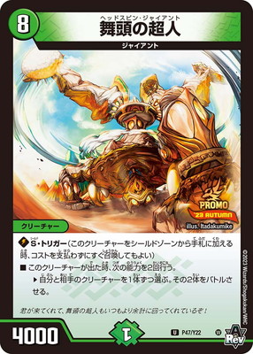 P47/Y22 ��Ƭ��Ķ��