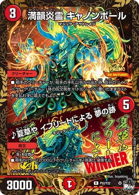 P52/Y22 �������� ����Υ�ܡ��롿������� ���ե꡼�Ȥˤ�� ̴����