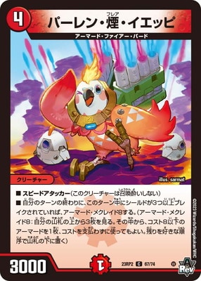 DM23-RP2/67/C/ѡ󡦱졦å