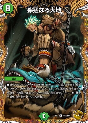 DM23-RP2/SP2/R/Ԥʤϡڶȥ쥸㡼