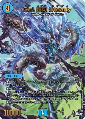 DM23-RP2X/3/VR/Go!  Steadyڥɥʥver