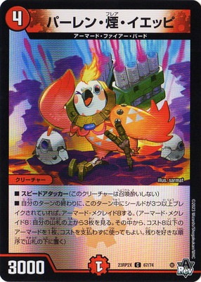 DM23-RP2X/67/C/�ѡ���󡦱졦�����åԡڥۥ���ver��