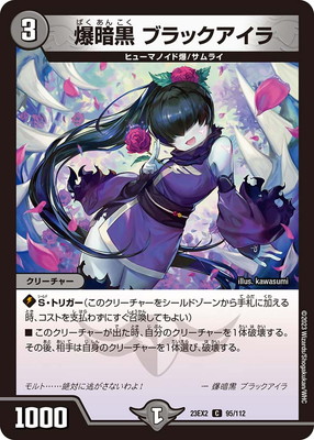 DM23-EX2/95/C/���Ź� �֥�å�������