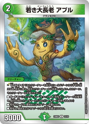 DM23-BD3/13/U/�㤭��ĹϷ ���ץ�