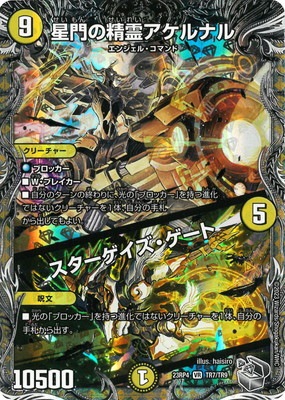 DM23-RP4/TR7/VR/星門の精霊アケルナル／スターゲイズ・ゲート【銀