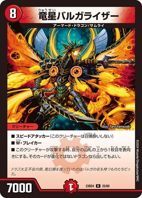DM23-BD4/25/R/ε���Х륬�饤����