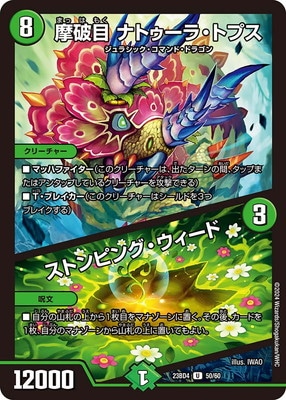 DM23-BD4/50/U/������ �ʥȥ����顦�ȥץ������ȥ�ԥ󥰡���������