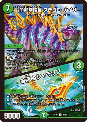 DM23-BD6/28/R/Ʈ ƥ᥷å