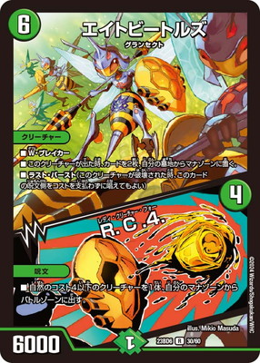 DM23-BD6/30/R/ȥӡȥ륺R.C.4.