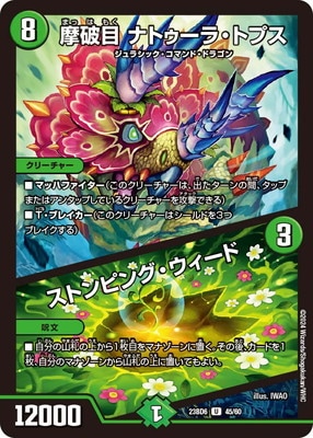 DM23-BD6/45/U/������ �ʥȥ����顦�ȥץ������ȥ�ԥ󥰡���������