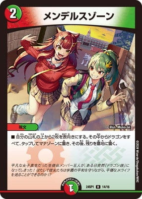 DM24-SP1/14/R/���ǥ륹������