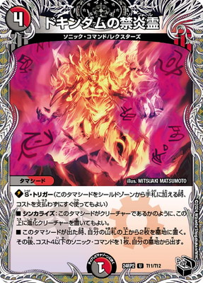 DM24-RP2/T11/U/�ɥ������ζر���ڹ��ȥ쥸�㡼��