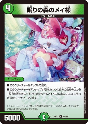 DM24-EX1/44/R/̲��ο��Υᥤ��