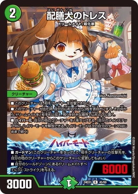 DM24-EX1/45/R/�������Υȥ쥹