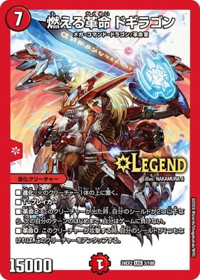 DM24-EX2/3/LEG/ǳ�����̿ �ɥ��饴��
