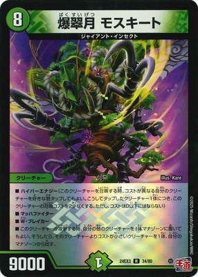 DM24-EX3/34/R/����� �⥹������