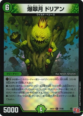DM24-EX3/71/U/����� �ɥꥢ��
