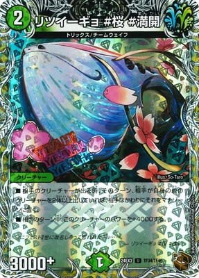 DM24-EX3/TF34/U/��ĥ������� ���� ��������Ƽ�ȥ쥸�㡼��