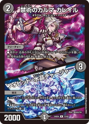 DM24-BD6/33/R/�ؽѤΥ���� ���쥤�� / �ե��ӥåɡ��徽���㡼���㡼