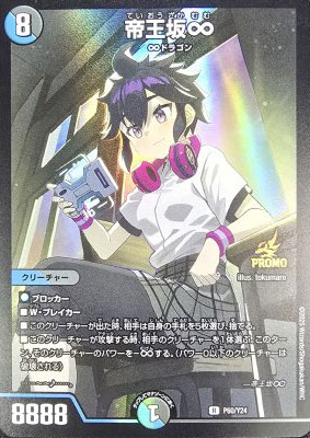 P60/Y24 �벦���