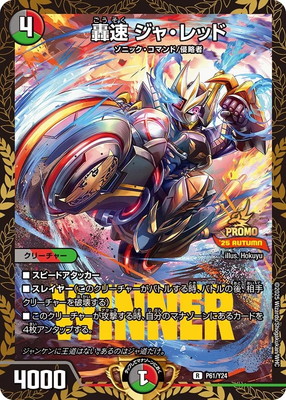 P61/Y24 ��® ���㡦��å�