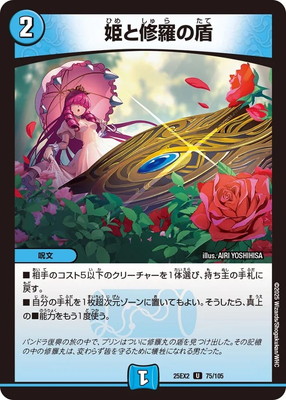 姫と修羅の盾