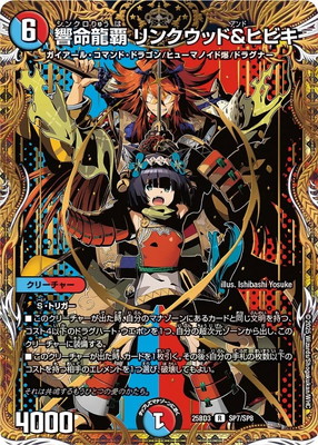 DM25-BD3/SP7/R/��̿ζ�� ��󥯥��åɡ��ҥӥ�