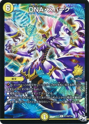 �ڥ����ʰ¡�P110/Y16 DNA�����ѡ���