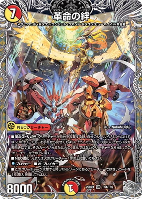 DM25-RP4/TR4/SR/��̿��嫡ڶ�ȥ쥸�㡼��